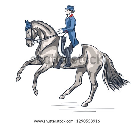 Equestrian, dressage. Vector illustration of a rider on a horse.