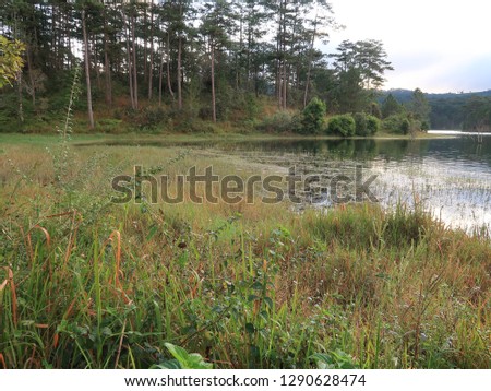 background with flooded forest in autumn, the trees reflection on the lake with magical light at dawn
