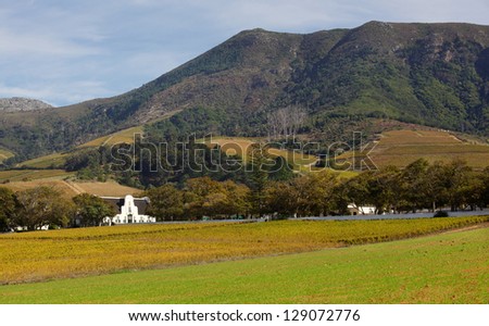 Groot Constantia, the finest surviving example of Cape Dutch architecture, and one of South Africa'??s foremost historical monuments tourist attractions, dates back to 1685. Royalty-Free Stock Photo #129072776