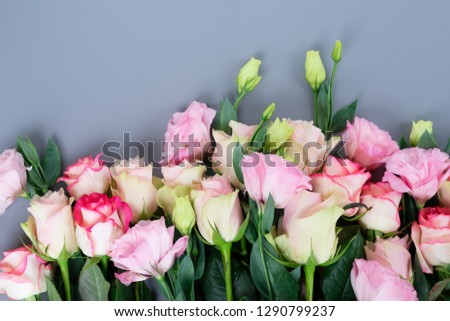 fresh rose flowers on gray