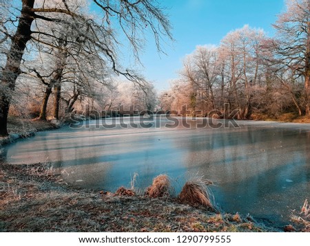 Frozen lake in beautiful winter landscape