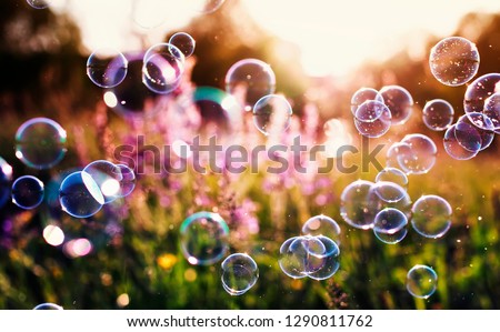 beautiful natural background with summer clear green meadow with pink flowers and soap bubbles brightly shimmer and fly in the air at lilac sunset Royalty-Free Stock Photo #1290811762