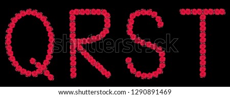 High resolution large color floral/flower characters/letters Q R S T   constructed from rose blossom macros on black background