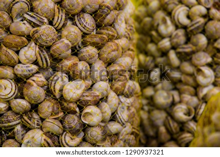 Snail from cooking escargot Royalty-Free Stock Photo #1290937321