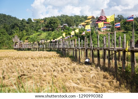 Su Tong Pae bamboo bridge with colourful flags over rice fields near Chiang Rai, Thailand.