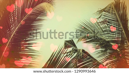 Coconut palm tree under blue sky. Vintage background with bokeh and flares.