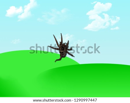 Spider on screen