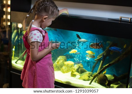 Little girl child looks at the fish in the aquarium Royalty-Free Stock Photo #1291039057