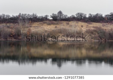 Beautiful reflections of birch trees and reed in calm lake water