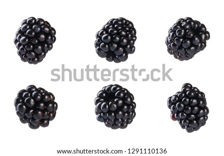 Collection of fresh blackberries. Isolated on white background. Royalty-Free Stock Photo #1291110136