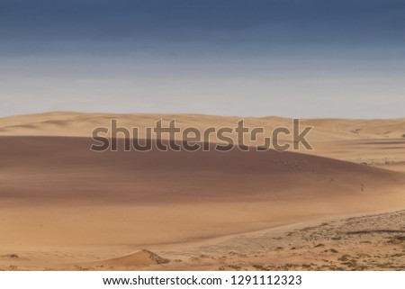 Group of springbocks running on the dunes of the Namibe Desert. Africa. Angola.