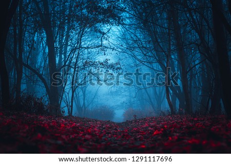 Fairy Mysterious Forest. Mystical atmosphere. Paranormal another world. Stranger forest in a fog. Dark scary park with red leaves. Background for wallpaper. Royalty-Free Stock Photo #1291117696