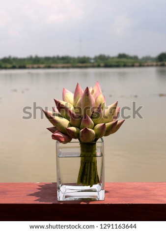 A lotus bouquet in square glass jar near by the river
