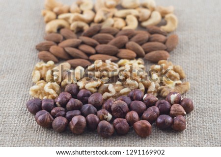 Hazelnuts, walnuts, almonds and cashew nuts on a burlap canvas fabric. Selective focus on hazelnuts. 