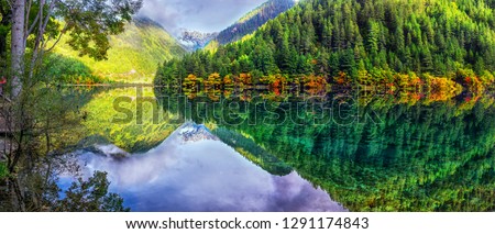 The panoramic colorful scenery of the mirror lake and forest at Jiuzhaigou national park, world heritage site located in Sichuan Province China Royalty-Free Stock Photo #1291174843