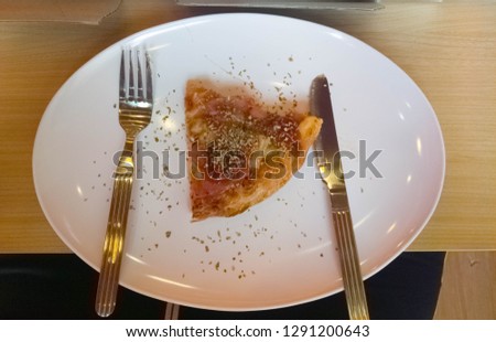 Slice of pizza on the plate. - Select Focus