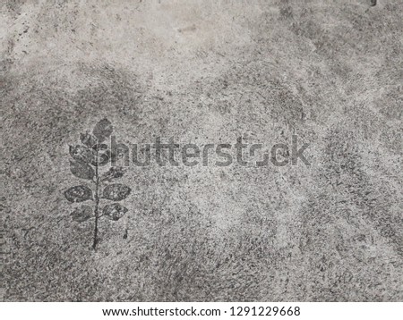 Art of printing leaves on concrete road with copy space. 