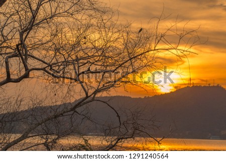 The golden light background from the sunset, the horizon in the mountains, the lake, is naturally beautiful without having to be manipulated.