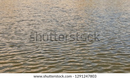 Small waves on the water surface.