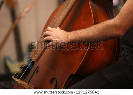 A man playing a double bass musical instrument during a live performance 