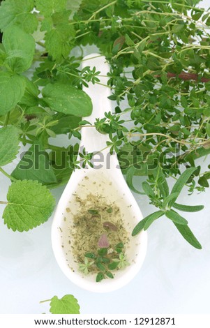 fresh herbs spices and virgin olive oil