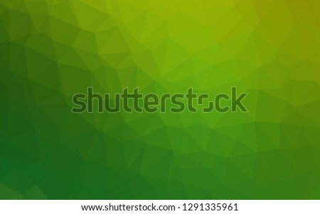 Light Green vector abstract polygonal cover. Shining colored illustration in a Brand new style. The best triangular design for your business.
