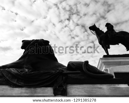 Sky, lion and a horse, black and white picture