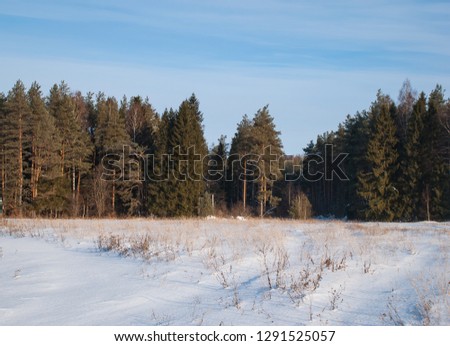 Winter picture. Lot of snow and beauty russian nature
