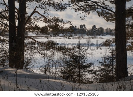 Winter picture. Lot of snow and beauty russian nature
