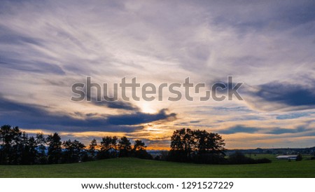 Sunset with Alps and forest