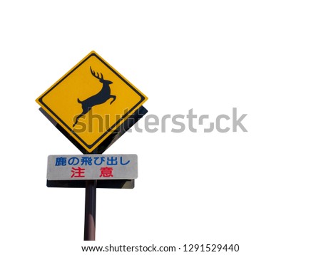 Road sign beware of deer in Japanese language on white background (clipping path) ,traffic sign concept