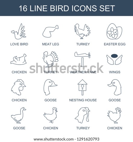 16 bird icons. Trendy bird icons white background. Included line icons such as love bird, meat leg, turkey, easter egg, chicken, weather vane, wings. icon for web and mobile.