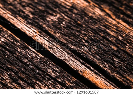 Old dark wood texture background. Macro close-up photography