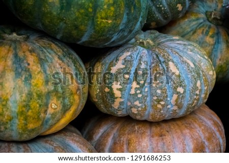 Round Tropical Pumpkin