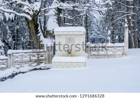 Fountain in the winter