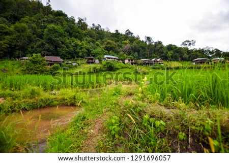 Pa Bong Piang Rice Terraces Chang Khoeng Subdistrict, Mae Chaem District, Chiang Mai Province.