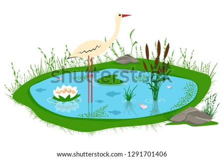 Pond with reeds, lily, grass, stones and a stork. Vector cartoon illustration of a lake isolated on white background.