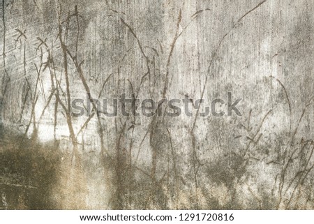 Old cement wall with grass pattern.