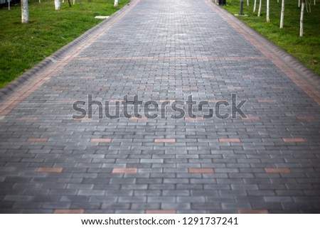 Beautiful road in the park