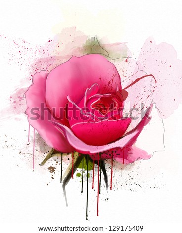 beautiful rose, watercolor
