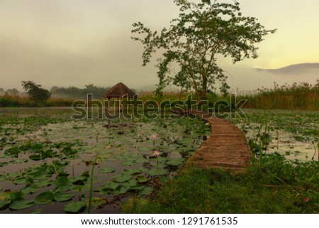 wood bridge over the lotus pond with sunrise and mountain background