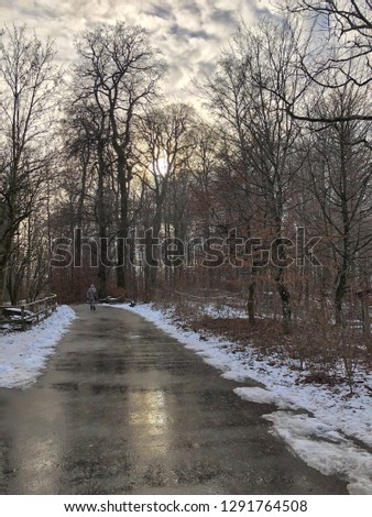 Lone hiker on forest road in winter with tall trees, clouds and the sun behind at sunset. Forest road in winter surrounded by trees and sunset behind