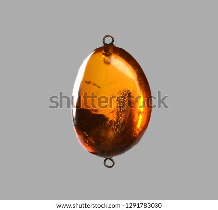 polished amber with insect fossil inclusion