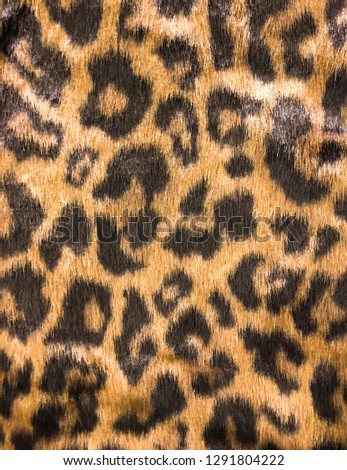 leopard skin colour textured pattern-sweater texture
