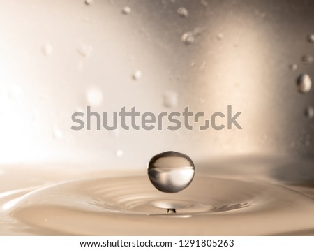 orange water splash isolated