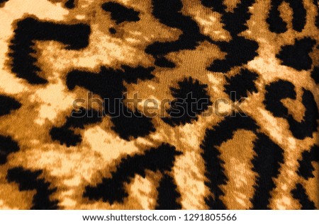 leopard skin colour textured pattern –clothes texture 


