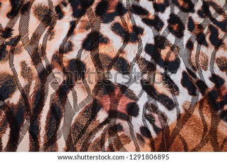 leopard skin colour textured pattern -clothes texture   


