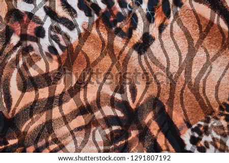 leopard skin colour textured pattern - clothes texture   


