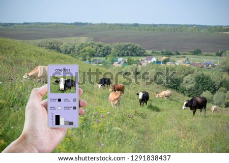 With the help of modern technologies in agriculture determine how much time a cow ate, lay, walked and stood. The information is displayed on the smartphone. Smart farming