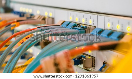 Internet wires are connected to the central router interfaces. There are many optical patchcards in the modern data center server room. Telecommunications cables are connected to the main server.